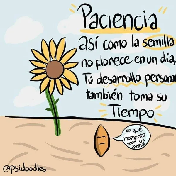 paciencia-frases