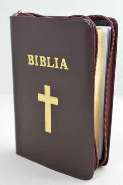 La Biblia Ortodoxa: Una Guía para Profundizar en la Palabra de Dios
