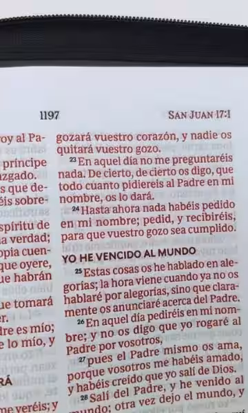 biblias-letra-grande