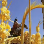palma-domingo-ramos